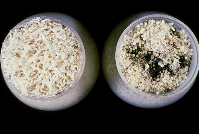 Brown blotch