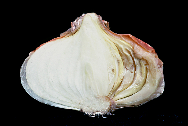 Sour skin