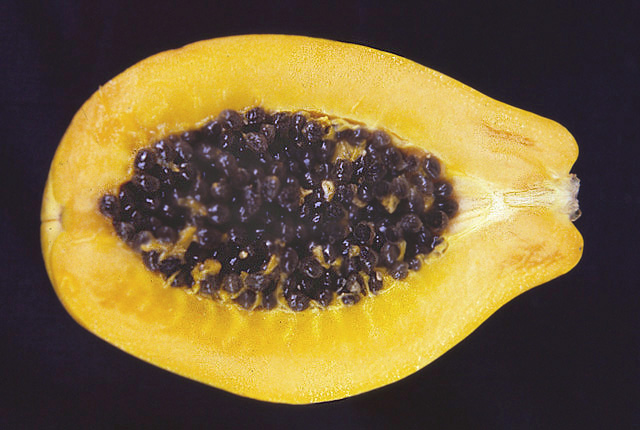 Internal yellowing