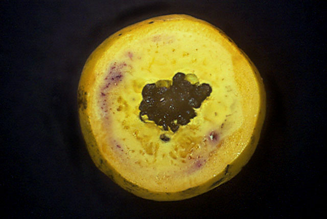 Purple stain